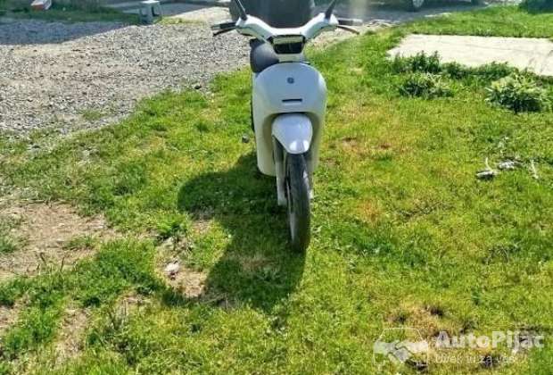PIAGGIO FREE