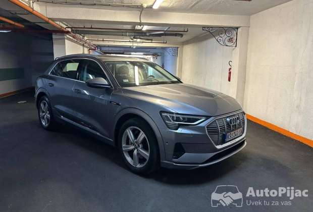 Audi e-tron 50 Quattro																											2019. godište