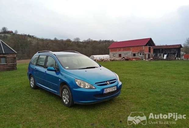 2005 pezo 307