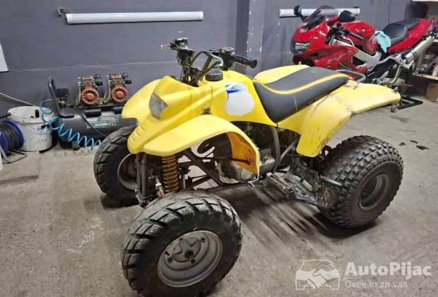 Kvad rex 250