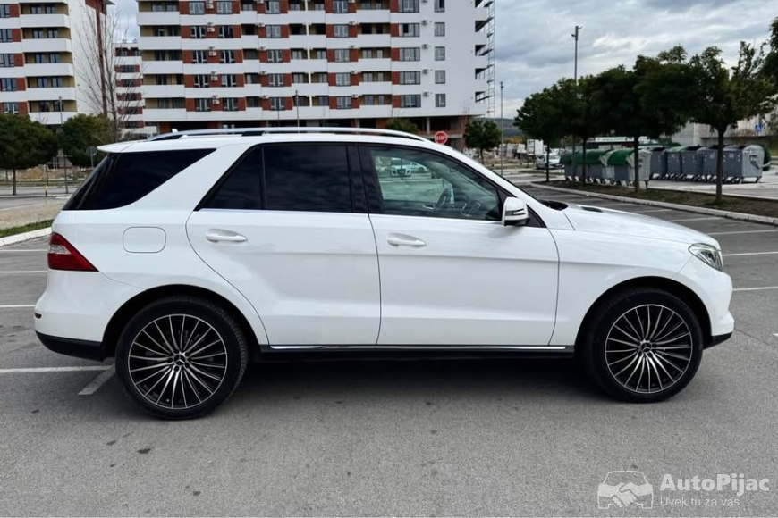 574248677_818497051138726_3057761861572892647_n