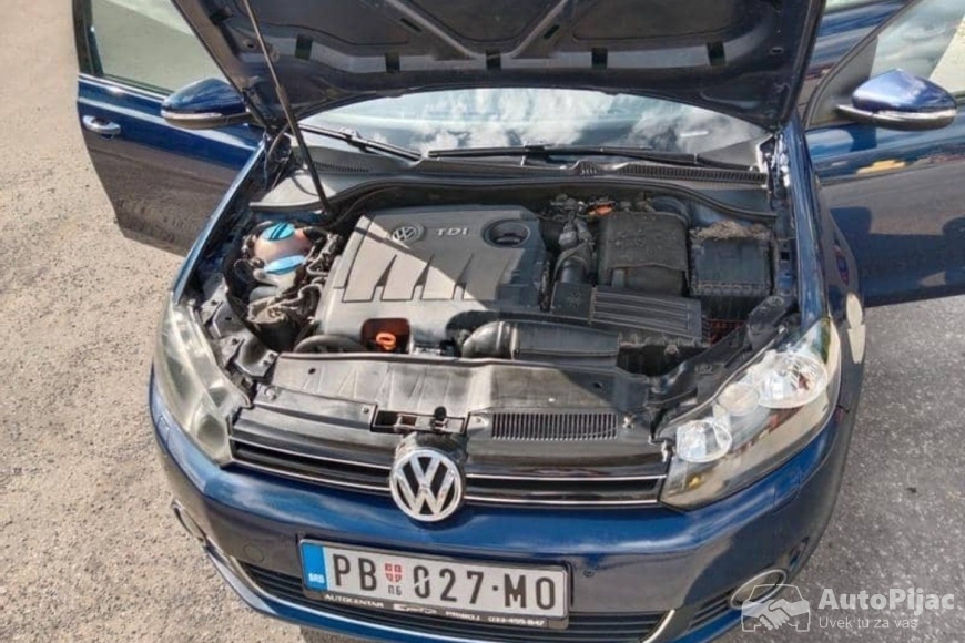 Peachy_20251103_115821339