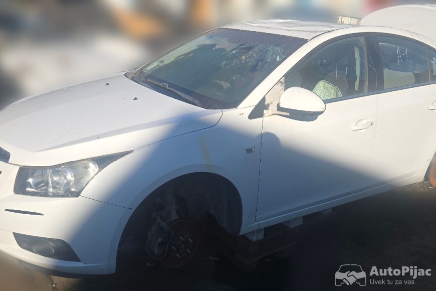 Dofoto_20251106_235337948