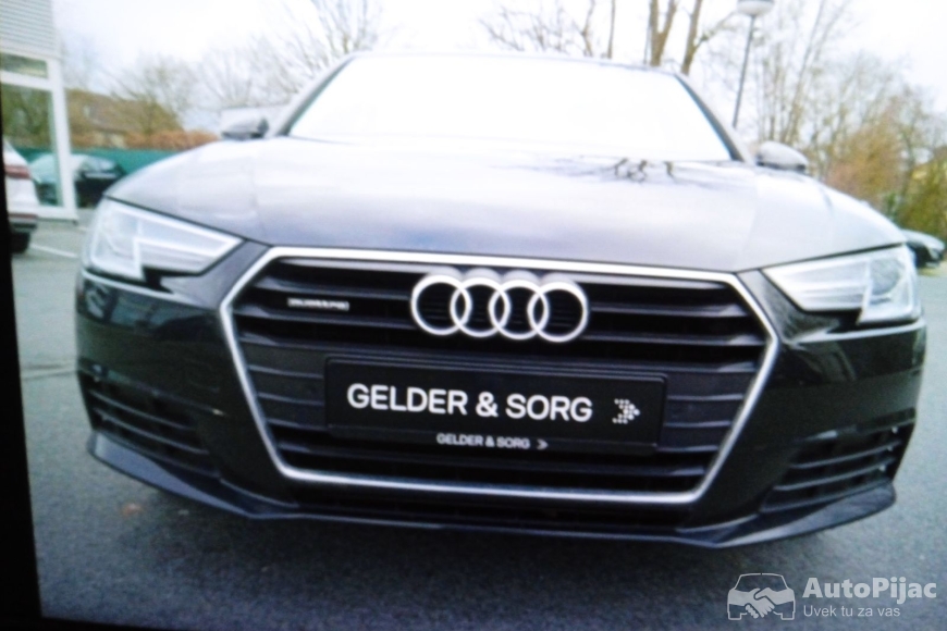 IMG_20250129_085231_1