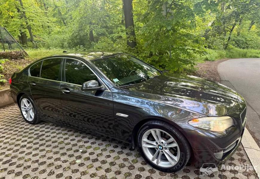 bmw_f10_1_polovni_automobili_autopijac.rs