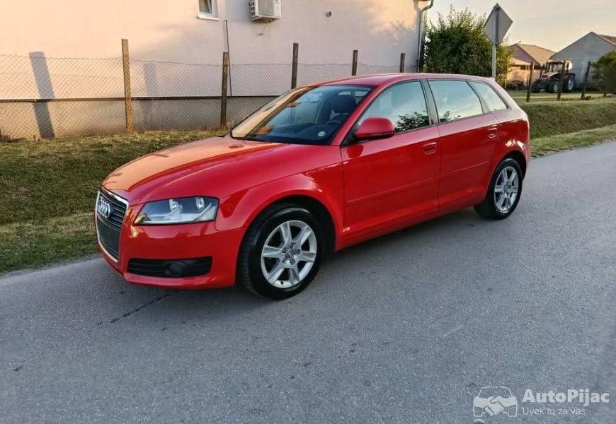 a_319tdi2008g_2_polovni_automobili_autopijac.rs