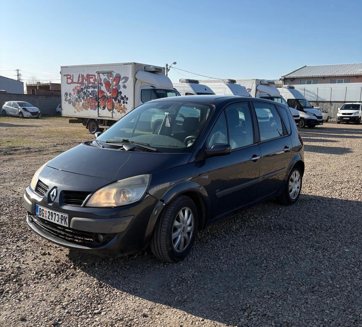 reno-scenic-reg-19dci-big-1